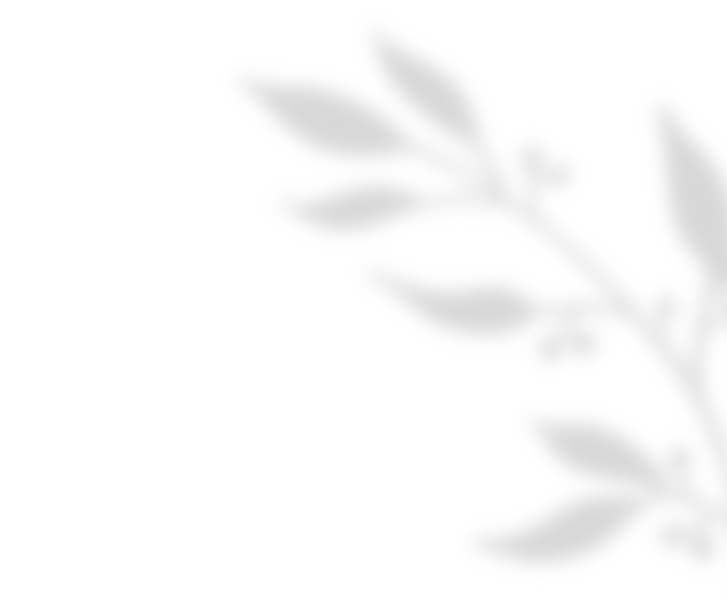 https://www.onedreamfilms.com/wp-content/uploads/2020/11/shadow_leaves_01.png