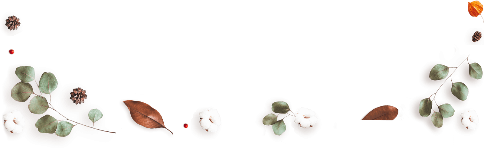 https://www.onedreamfilms.com/wp-content/uploads/2020/12/floating_image_13.png